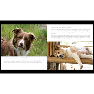 The Gift of Extra Time E-book