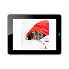Load image into Gallery viewer, The Gift of Extra Time E-book
